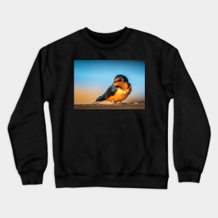 Barn Swallow on a Rail Crewneck Sweatshirt